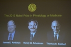 美德科学家分享2013年诺贝尔生理学或医学奖