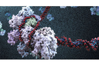 CRISPR领衔《科学》2015年度突破