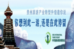 贵州旅游产业转型网络论坛