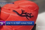 3D打印技术终极应用：再造人体器官