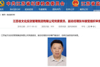 江苏文化投资管理集团有限公司副总经理张华被审查