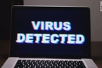 艾薇儿成网络“最危险名人” 因搜其名字最易感染病毒