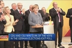 分析人士：德国大选显示中间选民正在缩水