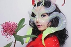 冰岛歌手比约克（Björk）鼓励粉丝用比特币购买其新专辑