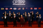 11国签署TPP协议 美国退出又如何
