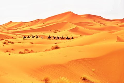 研究:撒哈拉沙漠百年扩张10% 全球变暖为主因