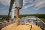 贸易战开打 飞马峰号的美国大豆会不会被加征关税？