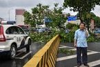 “山竹”过境树木倒伏 广州三人被砸身亡
