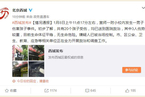 北京宣师一附小校内发生一男子伤害孩子事件