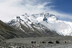 研究：大气污染加速青藏高原冰川退缩