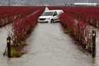 加拿大西部遭遇暴雨 引发洪灾和山体滑坡