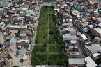 拉丁美洲最大的城市菜园 建在巴西里约平民窟内