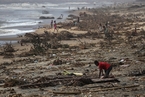 马达加斯加遭强热带气旋袭击 死亡人数升至89人