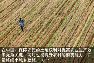 在中国，保障农民的土地权利对提高农业生产效率尤为关键