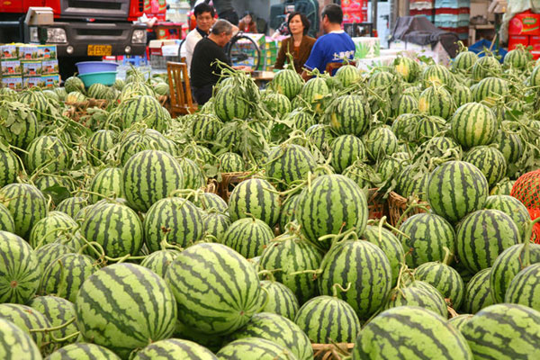  5月25日，上海山华果品市场内大量西瓜滞销。 东方IC_受膨大剂事件影响 上海西瓜出现滞销