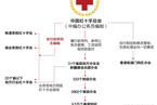 中国红十字会组织架构