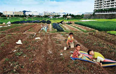 未来十年，土地饥渴将是深圳日益严重的顽疾。