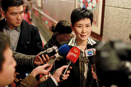2013年3月5日，在北京会议中心的经济界小组讨论会上，李小琳谈到电力改革时认为，中国应在售电侧引入竞争。