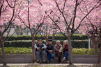 变革中国养老体系的政策组合