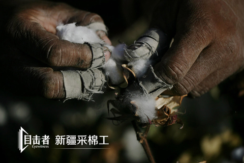 新疆采棉工