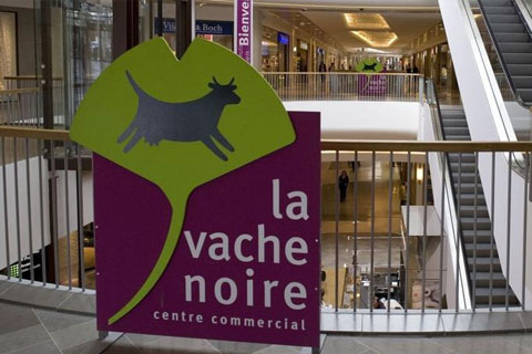 The interior of La Vache Noire shopping center in Paris, one of the 10 shopping malls acquired by China Investment Corp. in France and Belgium in 2015 for about 1.3 billion euros