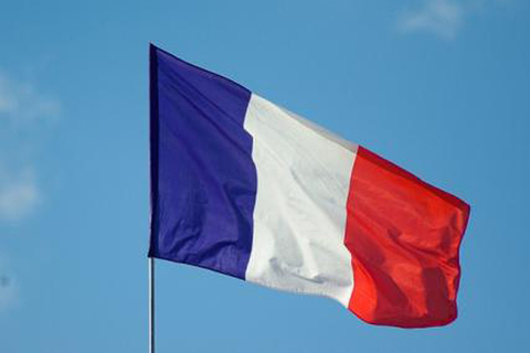 为防假新闻影响法国大选，谷歌脸书联合“打假”