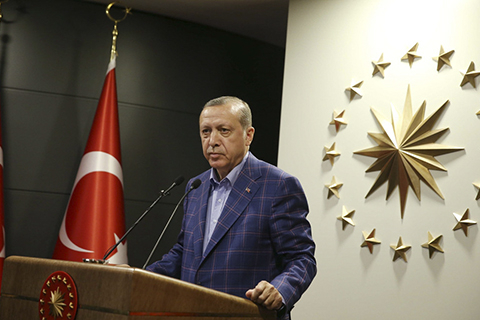 土耳其公投通过总统扩权 埃尔多安或延任至2029年