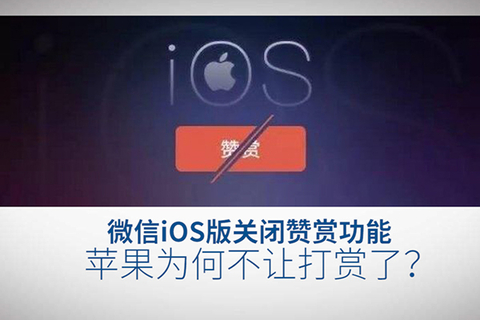 微信iOS版关闭赞赏功能，苹果为何不让打赏了？