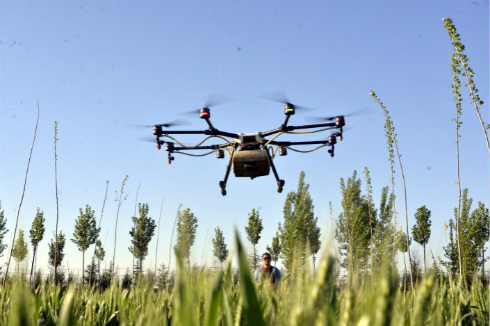 The national government and provincial authorities across China have doled out millions in subsidies in recent years to farmers looking to buy drones, such as the one pictured about that is crop-dusting a wheat field in Shandong province. Photo: Visual China