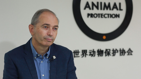 【一语道破】世界动物保护协会全球CEO：野生动物入药需要三思