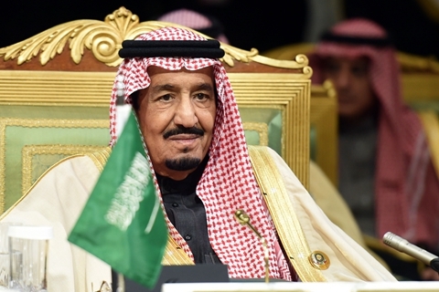 沙特王储领衔反腐大批王子重臣被捕 是权力斗争还是改革先声