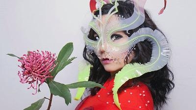 冰岛歌手比约克（Björk）鼓励粉丝用比特币购买其新专辑