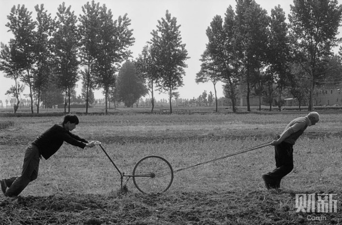 Two farmers plough a field using a tool made from a modified bicycle wheel in 2003 in Ruyang village, Henan province. Photo: Zhang Huibin