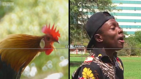 加纳19岁男孩可模仿50种动物叫声