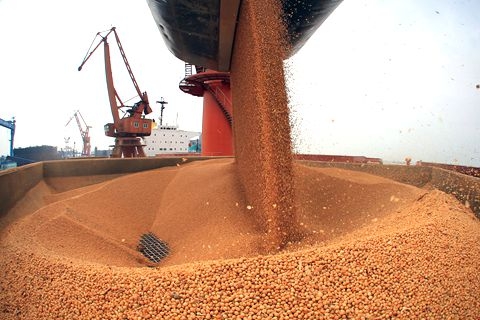 杜鹰：建立对进口大豆转作食品用途的监管机制