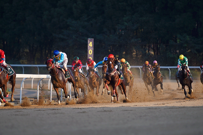 Riders compete in a horse race in Wuhan, in central China's Hubei province in October 2017. Photo: VCG