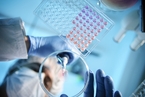 科学家发现新的基因靶点  或能阻止癌细胞转移