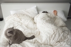 研究：睡得太多或太少 都可能患代谢综合征