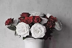 PD-L1抑制剂：白玫瑰与红玫瑰