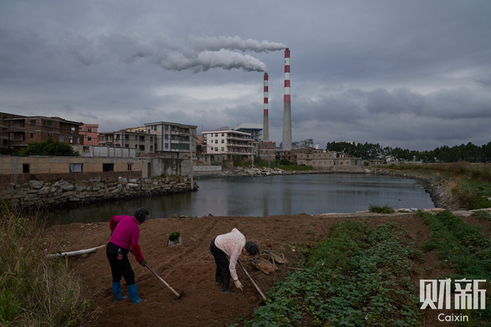 Two elderly women plant sweet potatoes on Nov. 13 in Quangang district’s Kecuo village, which is slated for demolition. A nearby pyroelectric plant is seen in the background. Photo: Liang Yingfei/Caixin