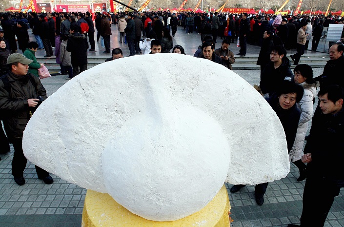 People admire a giant dumpling made by Sanquan Foods in Zhengzhou, Henan Province, in 2009. Photo: VCG