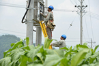湖南、廣東多地電力缺口明顯 企業需錯峰用電
