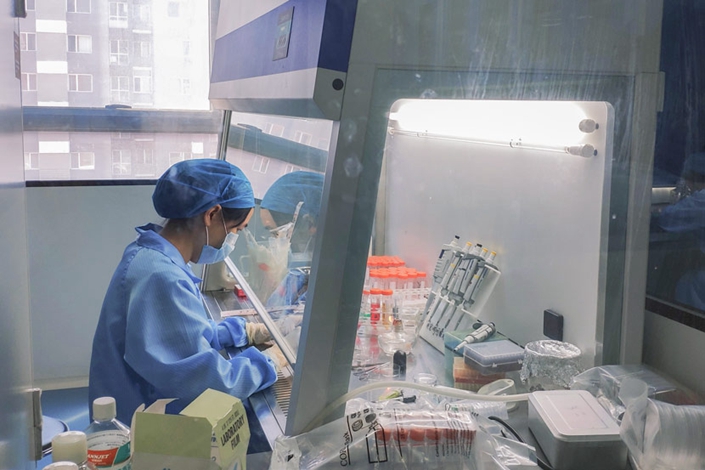 A technician works in Sinogene’s lab in Beijing, July 2, 2019. Photo: Fan Yiying/Sixth Tone