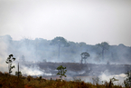亚马逊林火延烧 巴西为何成了最不在乎的国家