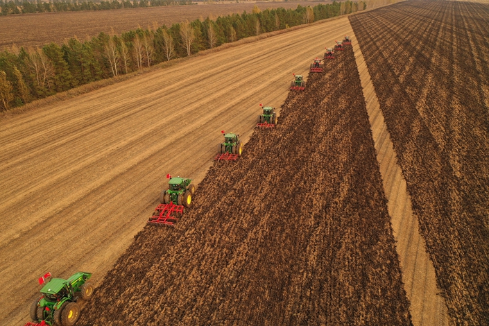 Harvesters collect the soybean crop on Sept. 28 in Heihe, Northeast China's Heilongjiang province. Photo: VCG