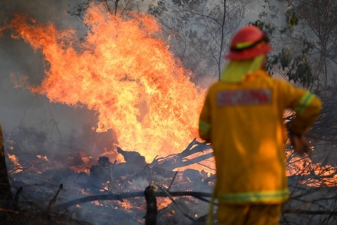 研究：气候变化令澳洲山火爆发可能性至少增30%