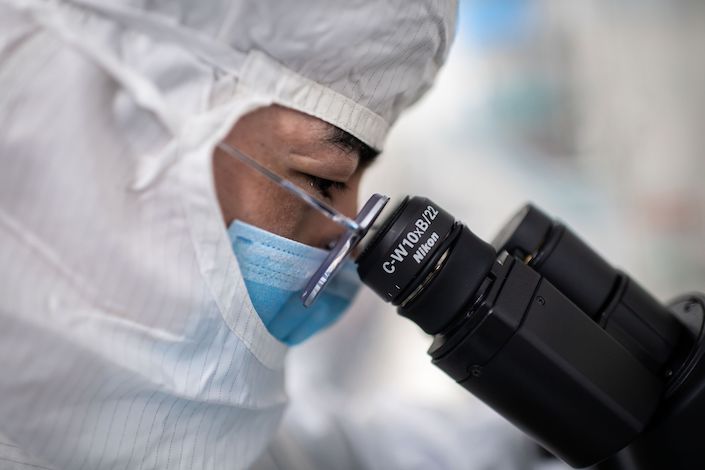 A scientist looks through a microscope. Photo: Bloomberg