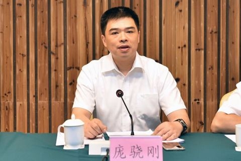 庞骁刚出任国家电网副总经理、党组成员