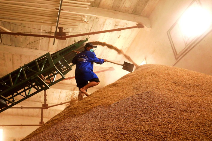 China imported 4.28 million tons of the grain from January to July, up 116.3% year-on-year.