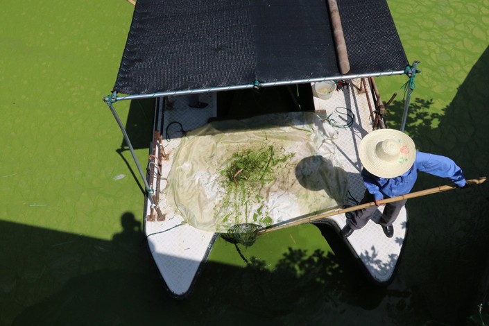 A worker fishes for blue algae on Aug. 12 in Taihu Lake in Wuxi, East China’s Jiangsu province.